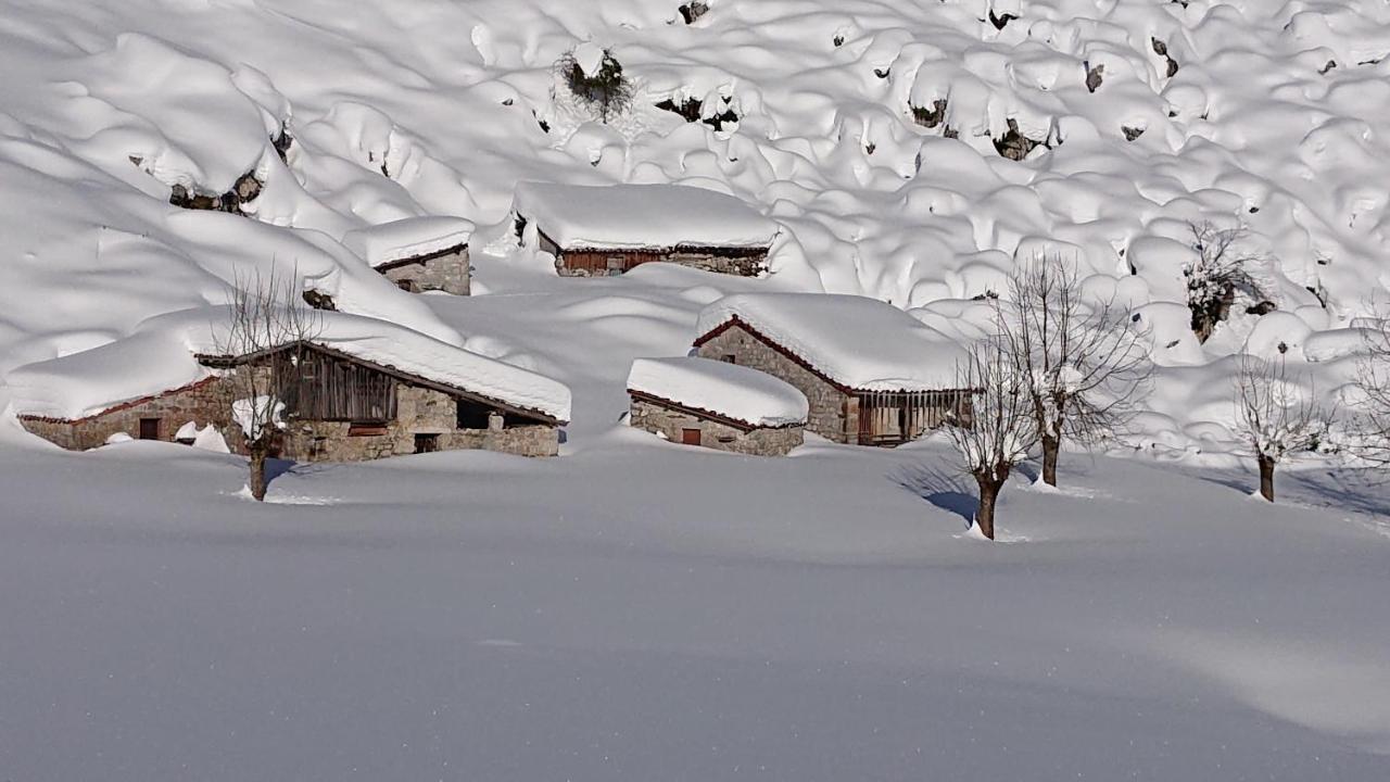 Casa Rural Las Fraguas Llanes, Gulpiyuri, Bufones Экстерьер фото